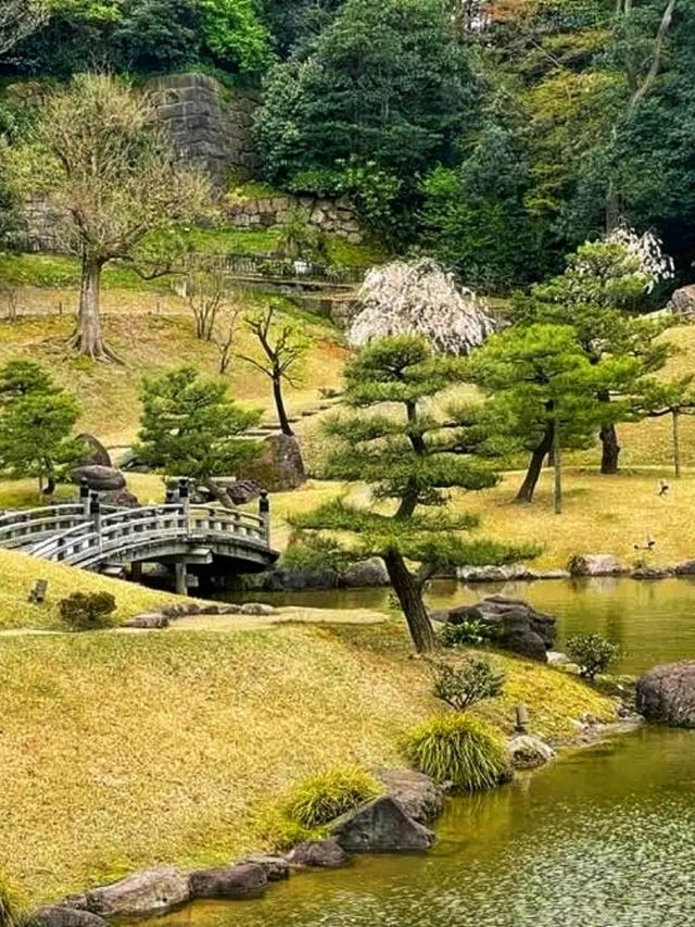 Kanazawa Castle & Kenrokuen – Timeless Beauty in the Heart of Kanazawa