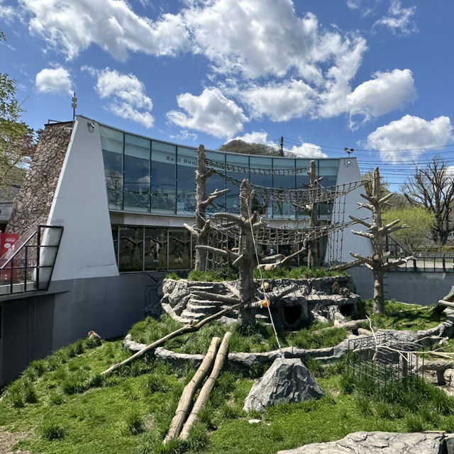  札幌圓山動物園：北國生態之窗