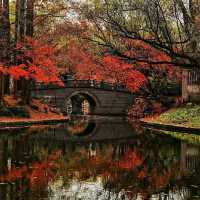 #ForestEscape – A Moment in Shanghai Gongqing Forest Park
