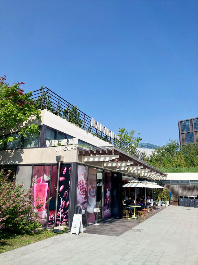서울에서 보는 장미밭