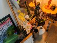 Sunsixmoon.cafe • ชลบุรี
