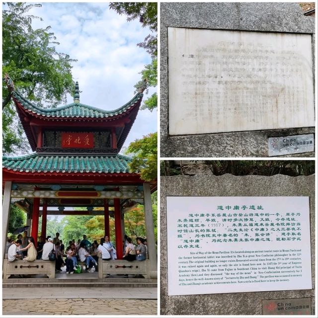 嶽麓山徒步