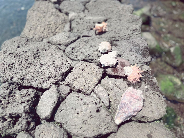 오늘의 데이트는 맑음 ☀️