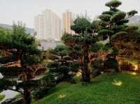 Tranquility in the Heart of the City 