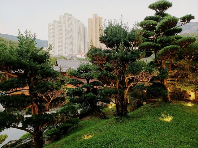 Tranquility in the Heart of the City 