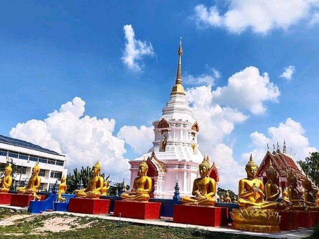 วัดนาแขม
