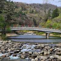 Wandering Around Woljeongsa 