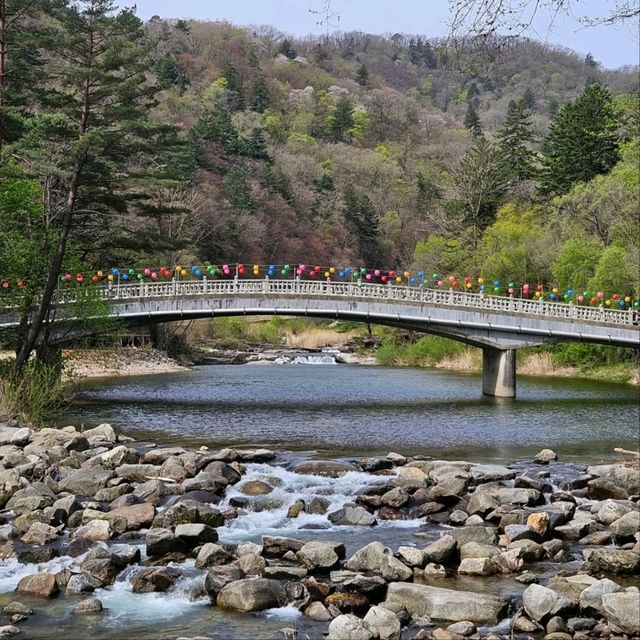 Wandering Around Woljeongsa 