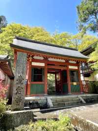 A Peaceful Day Exploring Oku-Saga, Kyoto 🌿