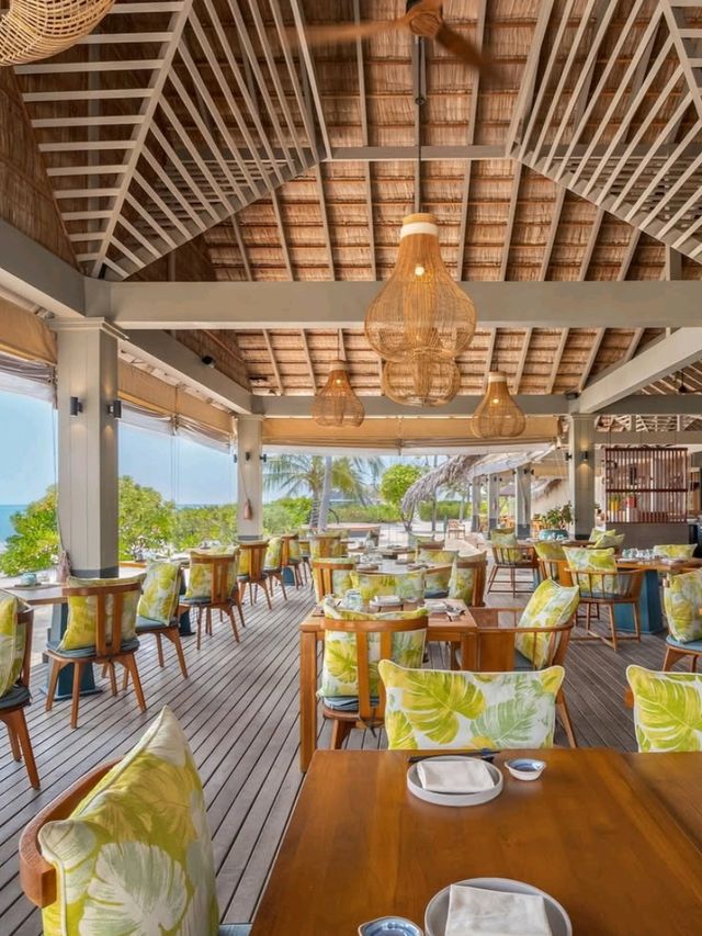 🌴 Cora Cora Maldives – Where Fun Meets Freedom