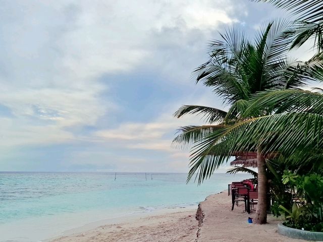 🦈鯊魚蜂擁而至的酒店 Plumeria Maldives 🩵🩵