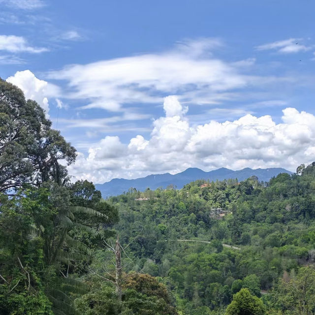 🇫🇷🏯 A French & Japanese Escape in Malaysia?! Half-Day Road Trip from KL 🚗✨