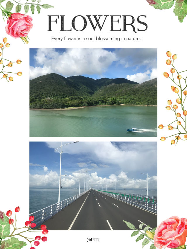 世紀工程：游港珠澳大橋