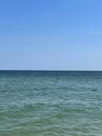 🌊 묵호에서 망상까지 바다 따라 걷는 동해의 하루