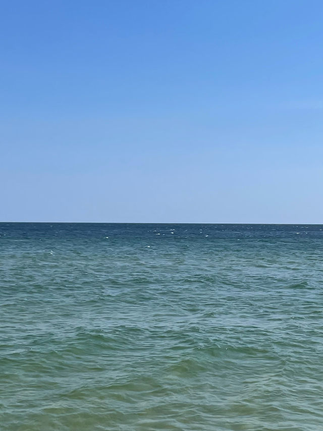 🌊 묵호에서 망상까지 바다 따라 걷는 동해의 하루