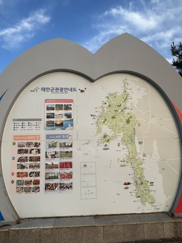 🌅 그림 같은 노을이 펼쳐지는 곳, 꽃지해수욕장