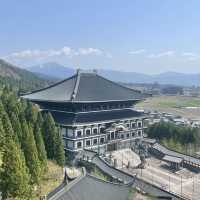 圧巻の迫力‼️日本最大級の大仏