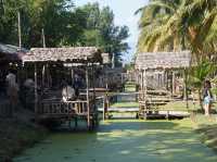 Coconut Dreams & Goat Glee at Chiang Mai’s Hidden Gem!  