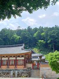 자연과 어우러진 고요한 산사