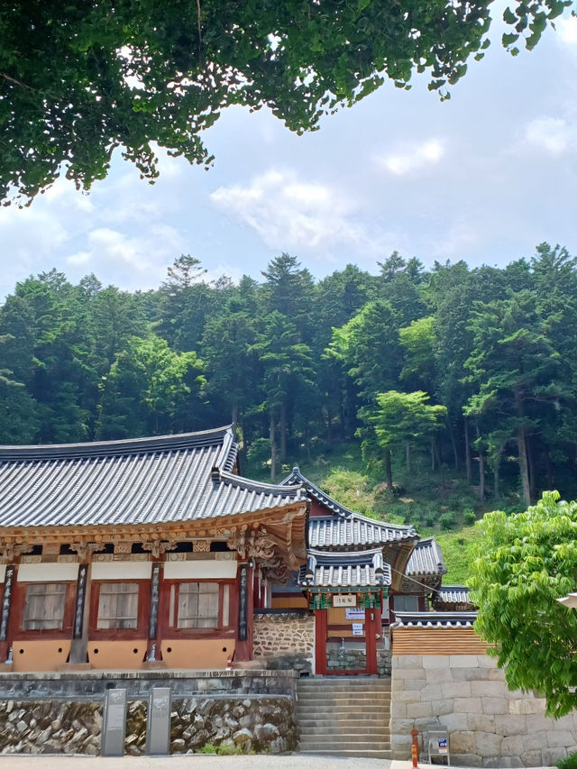 자연과 어우러진 고요한 산사