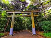 Meiji Shrine & Yoyogi Park – Tokyo’s Tranquil Core