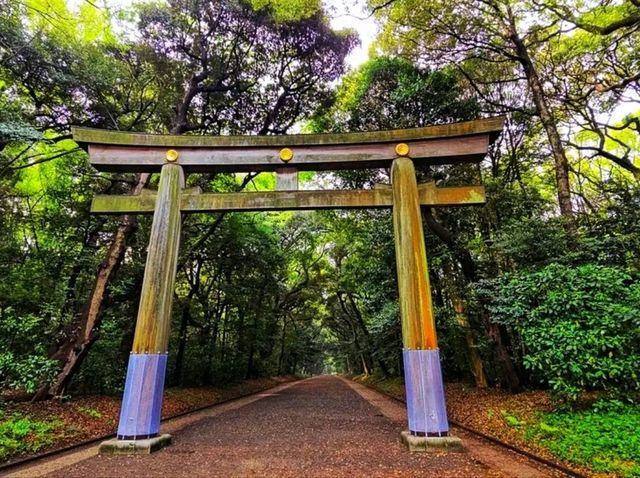 Meiji Shrine & Yoyogi Park – Tokyo’s Tranquil Core