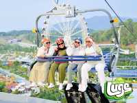 Sunset Thrills & Skyline Luge Chills 