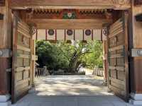 瀨戶內海國立公園-大三島 大山祇神社