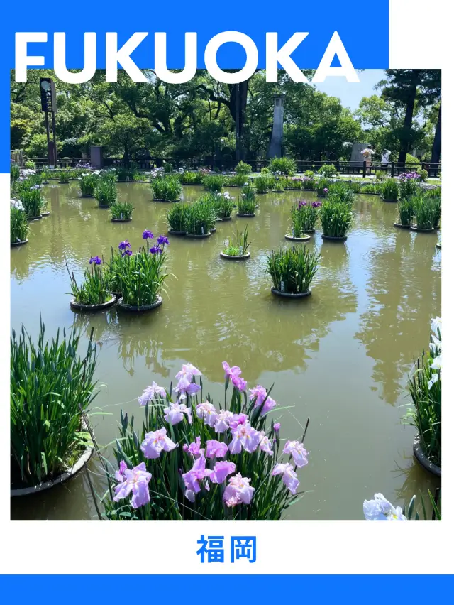 Fukuoka Half-Day Model Course