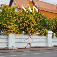 💛 แจกพิกัดถ่ายรูปเล่นในเมืองน่าน