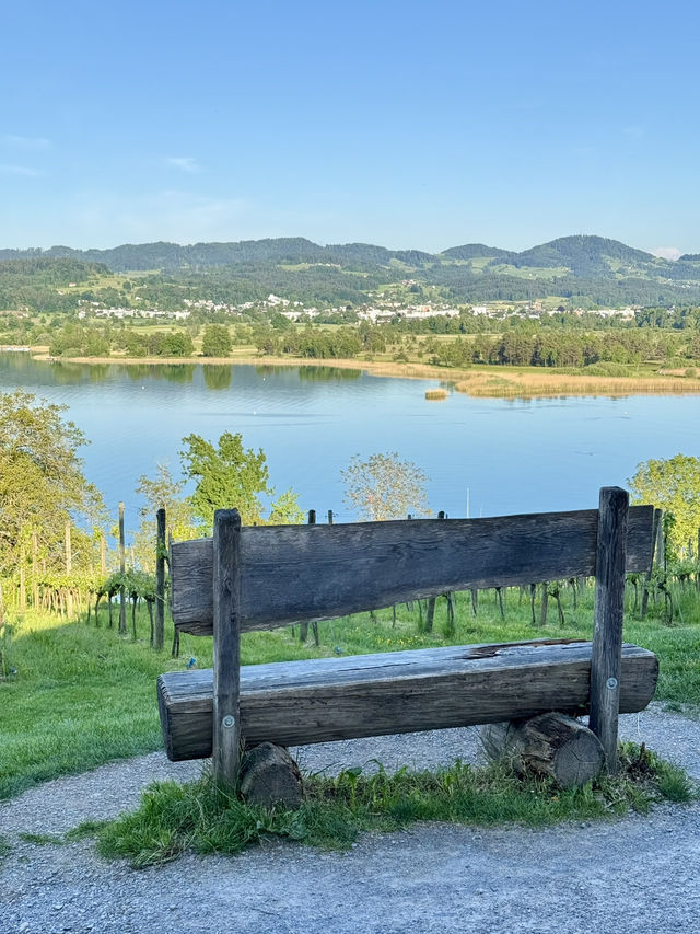 A Slice of Swiss Countryside Magic
