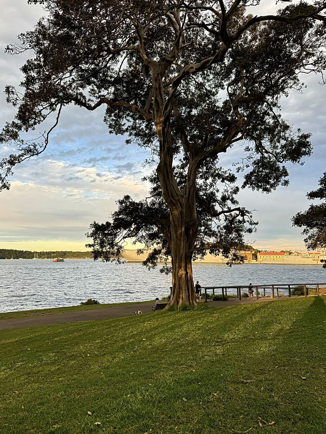 ออสเตรเลีย🇦🇺