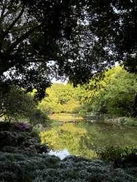  Hangzhou Botanical Garden
