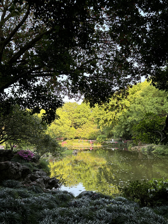  Hangzhou Botanical Garden