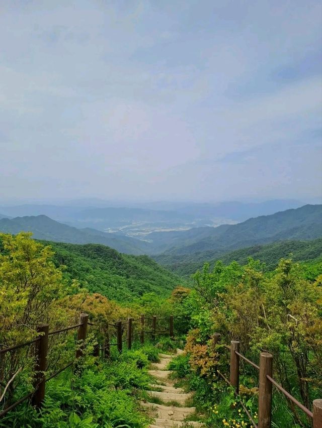 Deogyusan National Park, Hike, Freeze, Repeat (But Worth It)