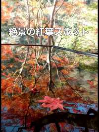 【京都】嵐山 祐斎亭
