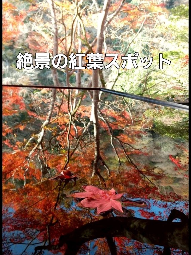 【京都】嵐山 祐斎亭