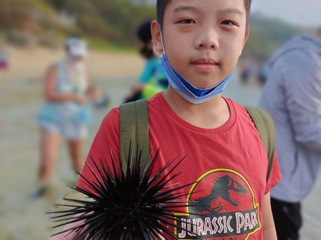 🏝️【台灣・小琉球｜海風輕輕，時光慢慢】