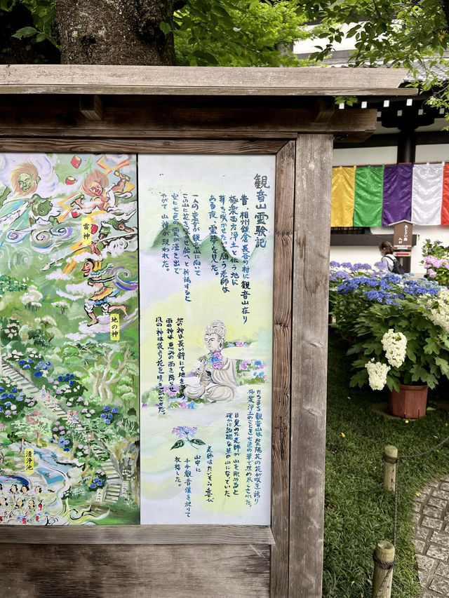 🏯【神奈川・長谷寺】四季を感じる花の名刹で、鎌倉時間をゆったりと