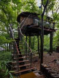 Hakone tree house