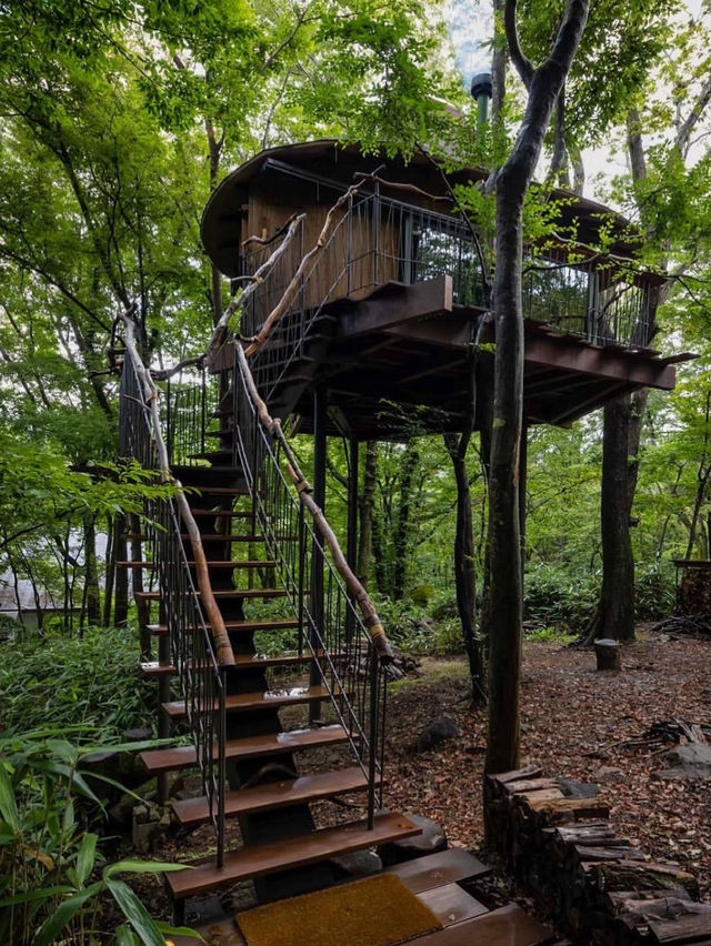 Hakone tree house