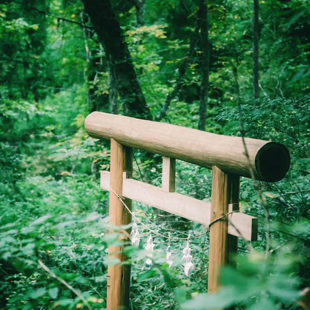 長野🇯🇵戶隱神社