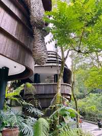 Wyah Not? Hidden Gem in Ubud You Need to Sip At!🌿