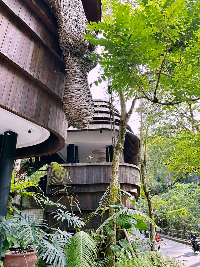 Wyah Not? Hidden Gem in Ubud You Need to Sip At!🌿