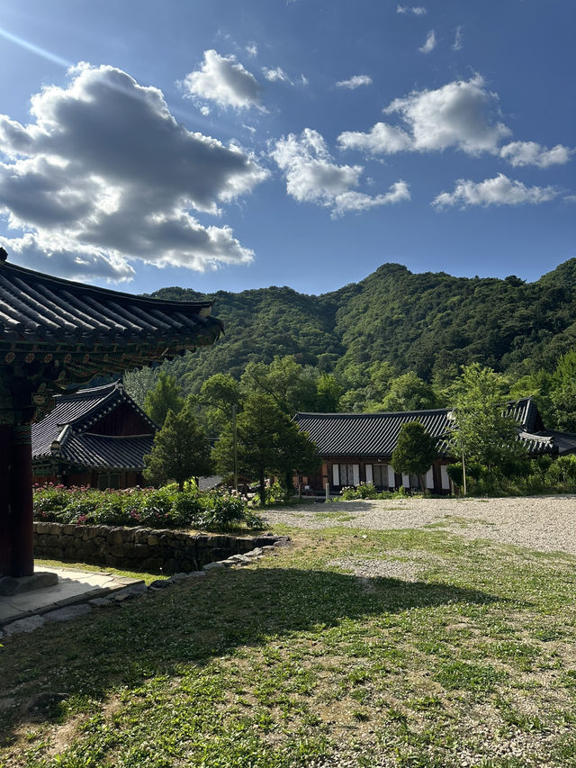 고즈넉한 강원도 홍천의 🏝️깨끗한 대자연을 느끼기에 좋은 사찰여행 추천여행지💚