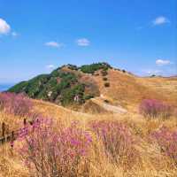 Hwawangsanseong Fortress Vibes in Changnyeong