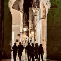 Croatia Old Town