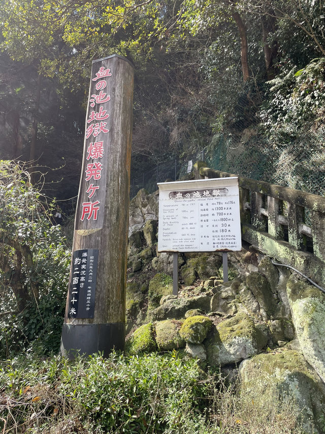 別府地獄：熱氣蒸騰的奇幻漫遊