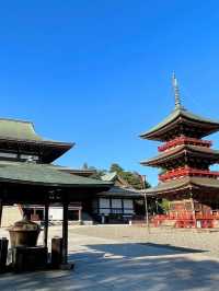 歴史と祈りが息づく「成田山新勝寺」心静まる参道旅
