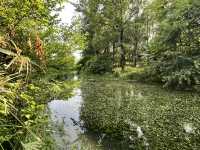 🌿 Huanhuaxi Park – A Calm Escape in the Heart of Chengdu